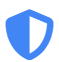 secure Icon